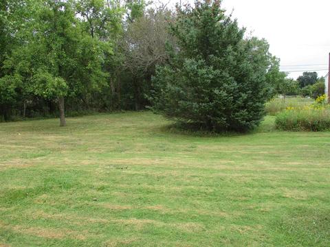 459 E Mcneil St, Corunna, MI 48817 photo 29