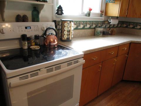 459 E Mcneil St, Corunna, MI 48817 photo 6