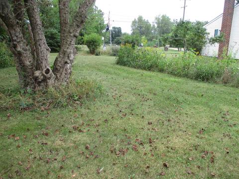 459 E Mcneil St, Corunna, MI 48817 photo 33