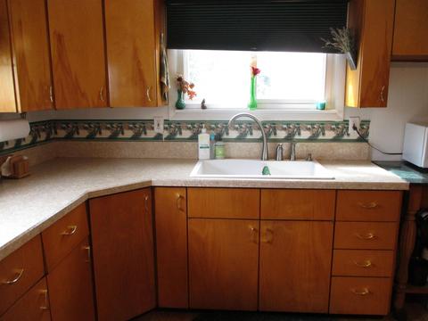 459 E Mcneil St, Corunna, MI 48817 photo 5