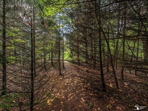 11050 Secor Rd, Temperance, MI 48182 photo 30