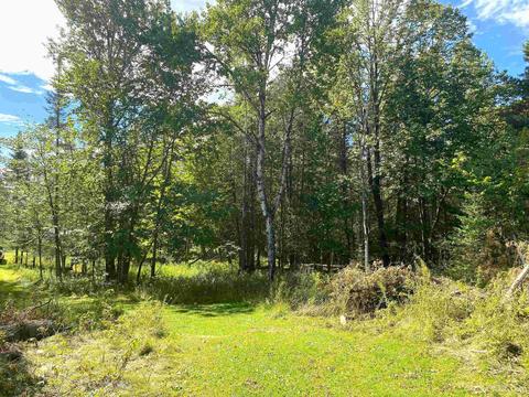 10865 I Rd, Cornell, MI 49818 photo 14