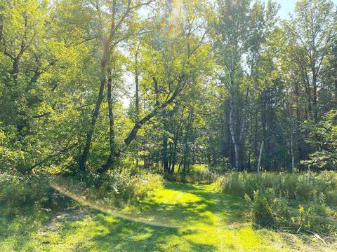 10865 I Rd, Cornell, MI 49818 photo 10