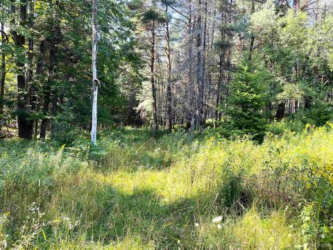 10865 I Rd, Cornell, MI 49818 photo 8
