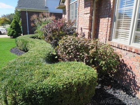 19571 Prince Dr, Macomb, MI 48044 photo 46