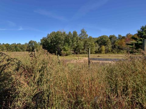 4300 Chappel Dam Rd, Gladwin, MI 48624 photo 18