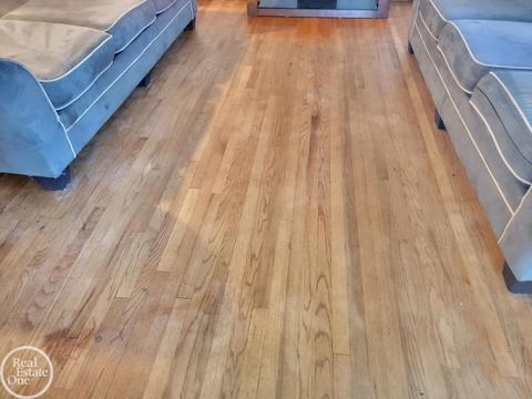 17030 Collinson, Eastpointe, MI 48021 photo 7