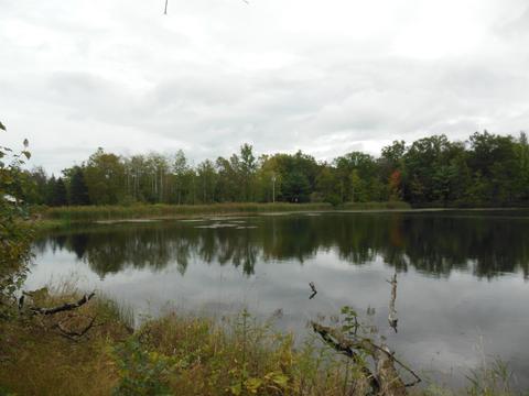 6966 Ruby, Harrison, MI 48625 photo 6