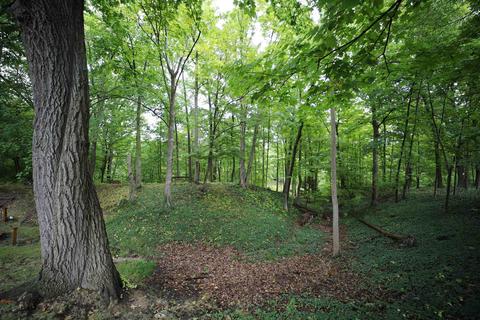 7296 River Rd, Flushing, MI 48433 photo 32