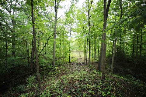 7296 River Rd, Flushing, MI 48433 photo 34