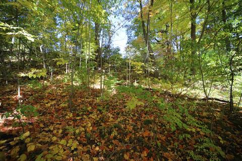 9018 Riverview Ct, Flushing, MI 48433 photo 8