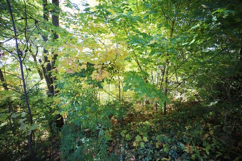 9018 Riverview Ct, Flushing, MI 48433 photo 7