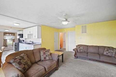 818 E Beach Dr, Brooklyn, MI 49230 photo 14