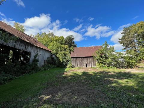 75 Custer Rd, Sandusky, MI 48471 photo 5