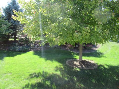 7155 Kings Way, Flushing, MI 48433 photo 34