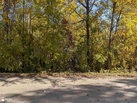 00 S Van Vleet, Swartz Creek, MI 48473