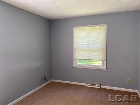 2377 Sunset Ln, Adrian, MI 49221 photo 11