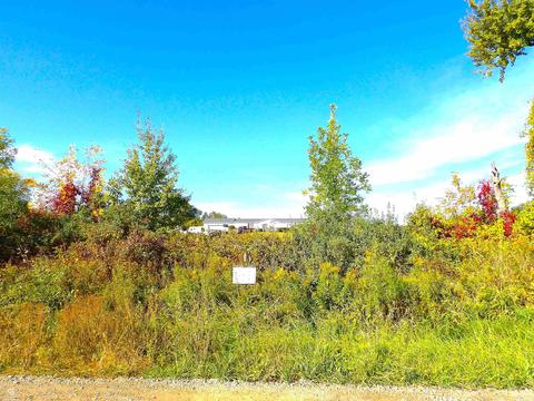 2600 Rowe, Applegate, MI 48401 photo 41