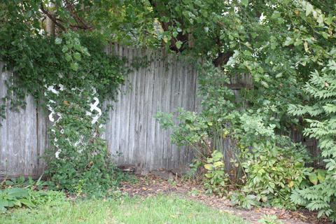 317 E Maumee, Adrian, MI 49221 photo 37