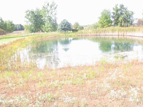 5400 Walker, Marlette, MI 48453 photo 20