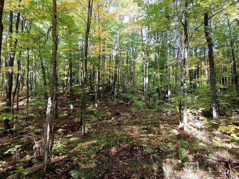 10175 Hillside Ln, Gladwin, MI 48624 photo 33