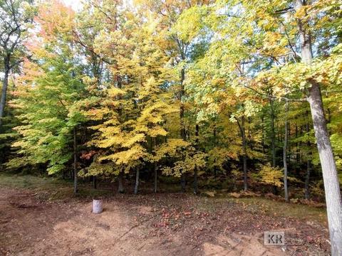 10175 Hillside Ln, Gladwin, MI 48624 photo 35