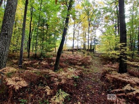 10175 Hillside Ln, Gladwin, MI 48624 photo 4