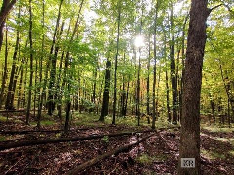 10175 Hillside Ln, Gladwin, MI 48624 photo 34