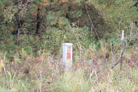 36 N Acres N Cook, Harrison, MI 48625 photo 5