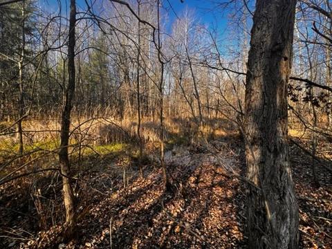 36 N Acres N Cook, Harrison, MI 48625 photo 8