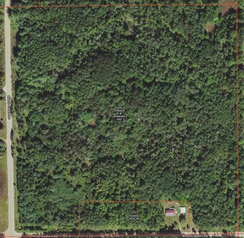 36 N Acres N Cook, Harrison, MI 48625 photo 21