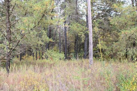 36 N Acres N Cook, Harrison, MI 48625 photo 3