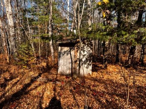 36 N Acres N Cook, Harrison, MI 48625 photo 7