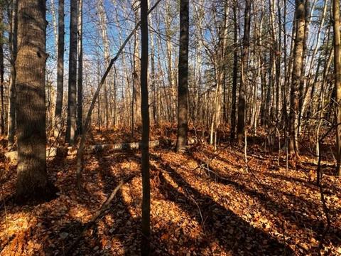 36 N Acres N Cook, Harrison, MI 48625 photo 10