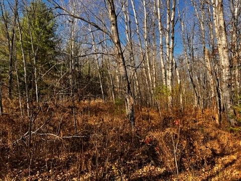 36 N Acres N Cook, Harrison, MI 48625 photo 6