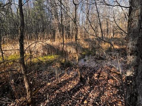 36 N Acres N Cook, Harrison, MI 48625 photo 9