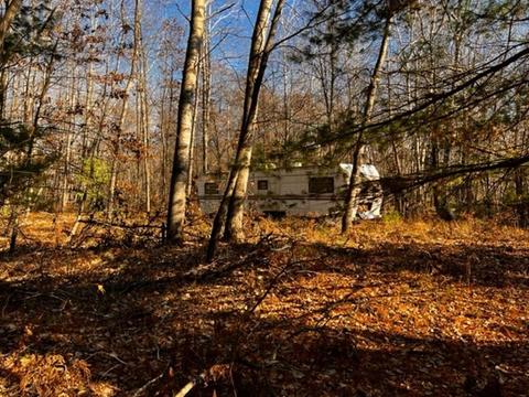 36 N Acres N Cook, Harrison, MI 48625 photo 11