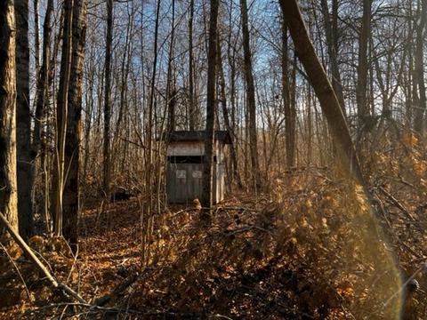 36 N Acres N Cook, Harrison, MI 48625 photo 17