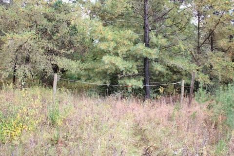 36 N Acres N Cook, Harrison, MI 48625 photo 4
