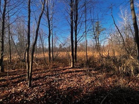 36 N Acres N Cook, Harrison, MI 48625 photo 15