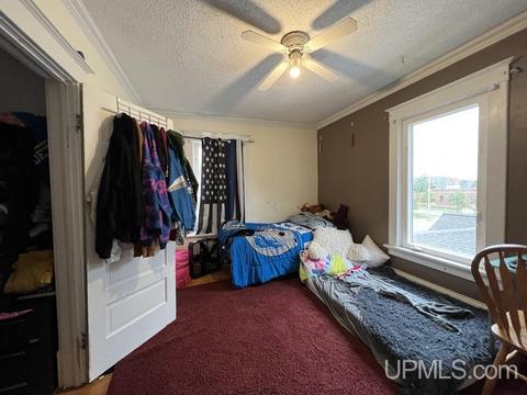 313 Elm, Munising, MI 49862 photo 11