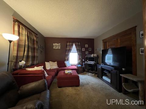 313 Elm, Munising, MI 49862 photo 5
