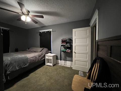 313 Elm, Munising, MI 49862 photo 10