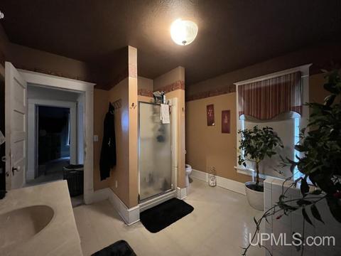 313 Elm, Munising, MI 49862 photo 15