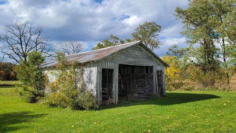 11454 Forrister, Adrian, MI 49221 photo 44