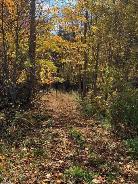 3225 Hartsell, Owendale, MI 48754 photo 71