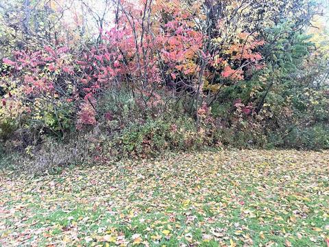 3225 Hartsell, Owendale, MI 48754 photo 77