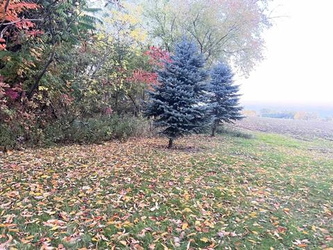 3225 Hartsell, Owendale, MI 48754 photo 78