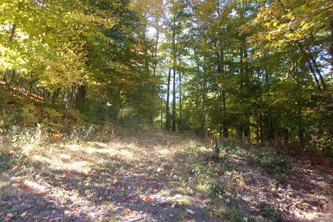 2275 Springwood Dr, Harrison, MI 48625 photo 26
