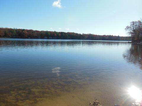 841 Breeze Rd, Harrison, MI 48625 photo 8